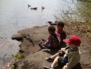 duckfoto
