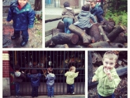 montessori-school-1
